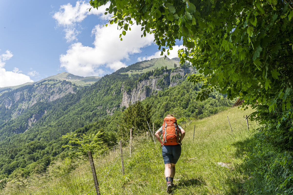 Wanderung Brienz Planalp