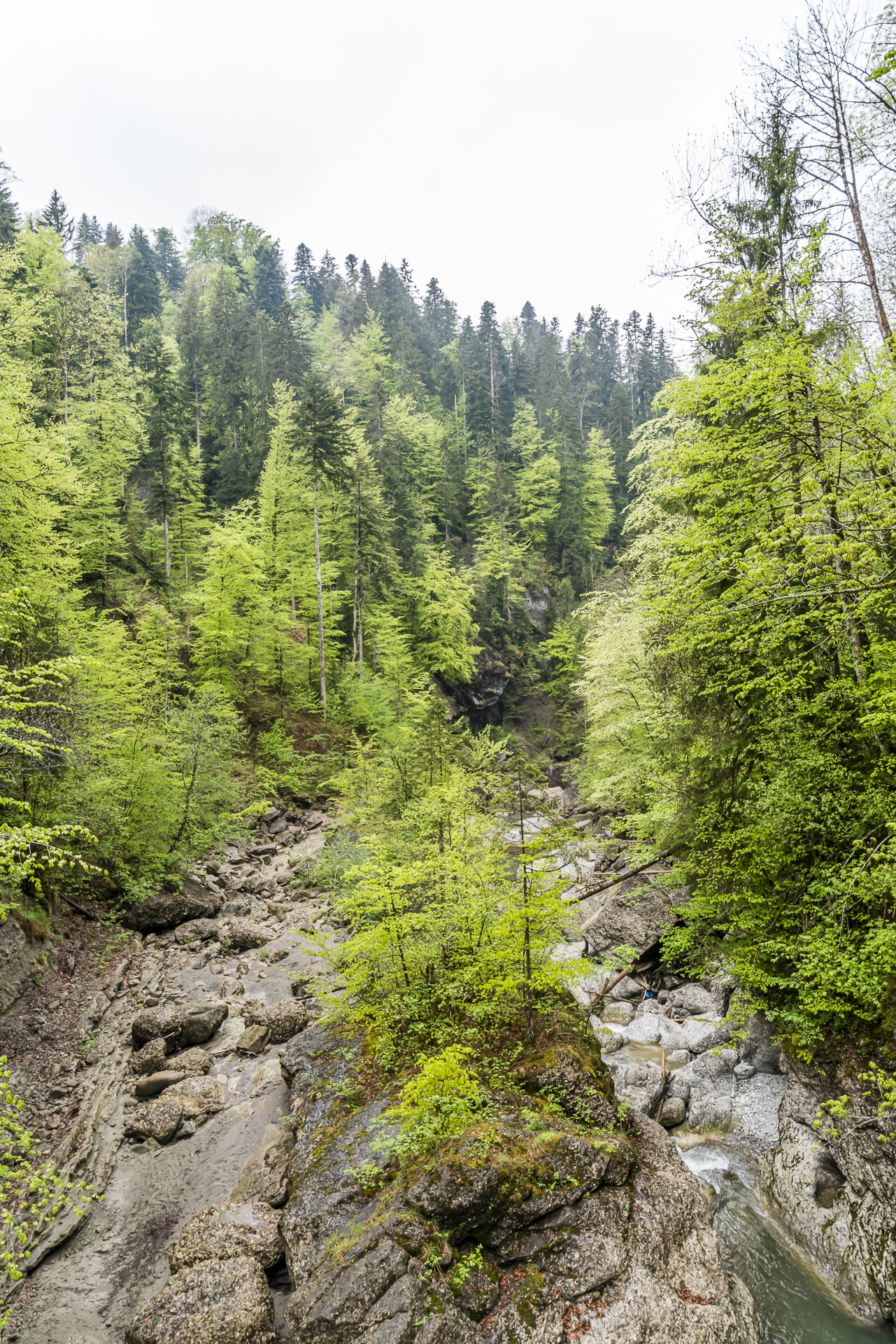 Bregenzerwald Subersachschlucht