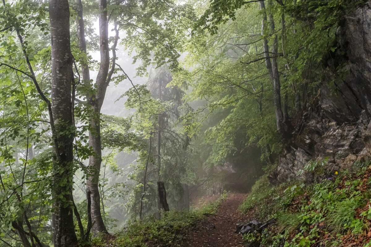 Planalp Brienz Wanderweg