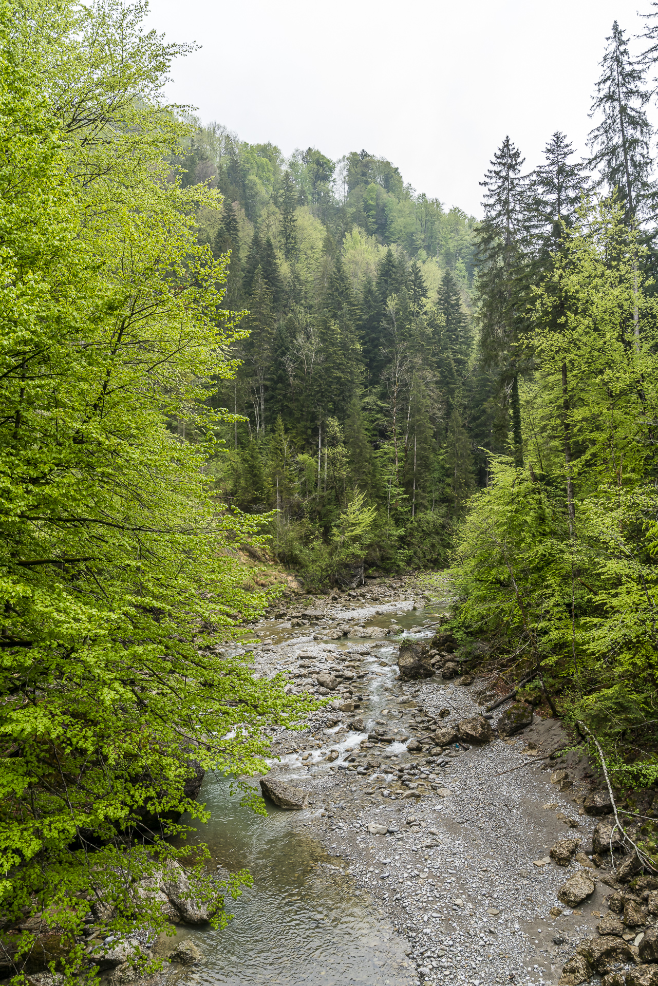 Subersachschlucht Egg