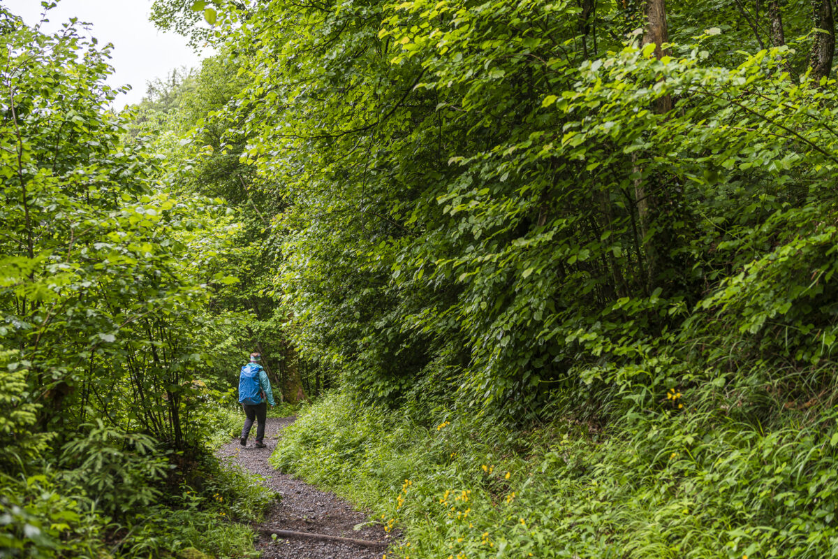 Wandern am Brienzer Rothorn