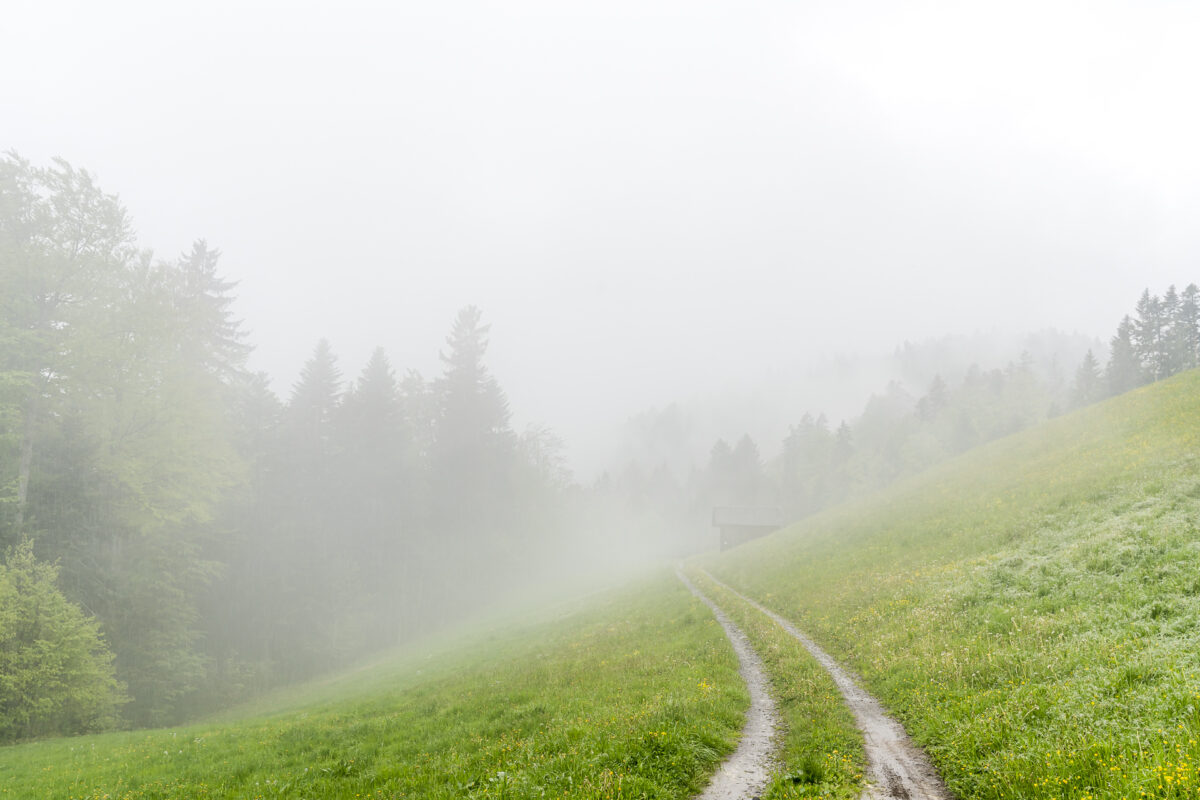 Architekturweg Bregenzerwald