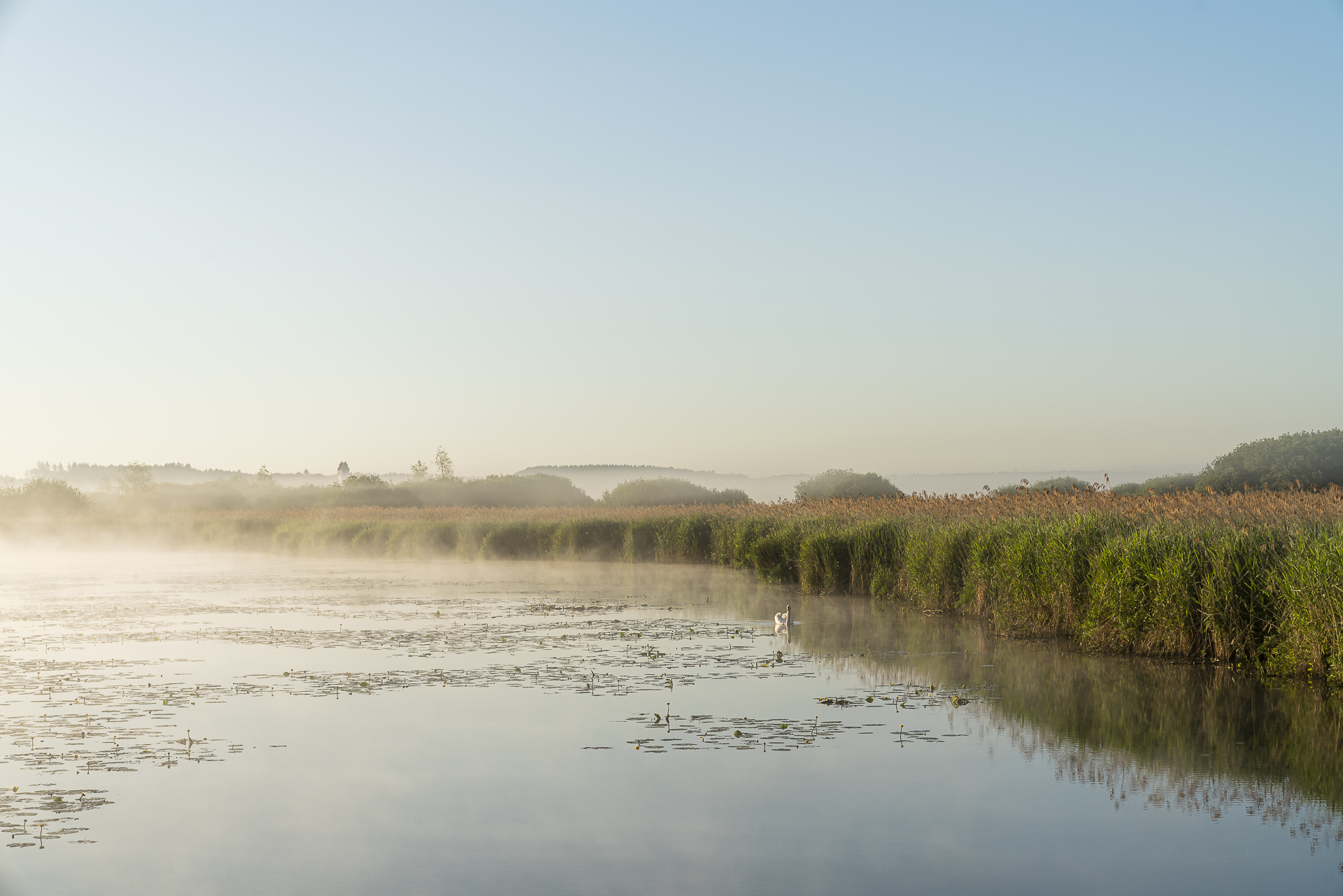 Federsee Oberschwaben