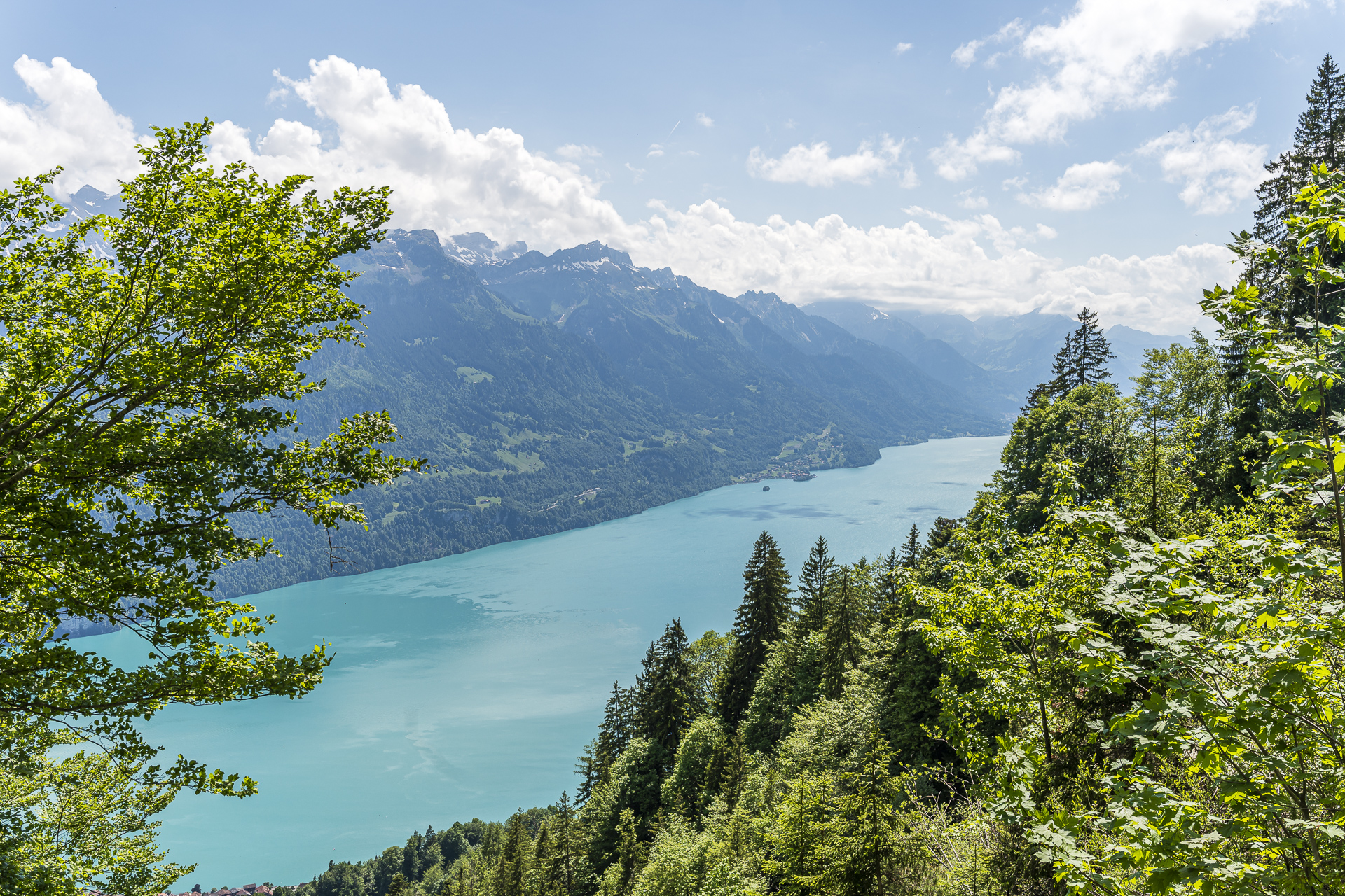 Brienzersee Panorama