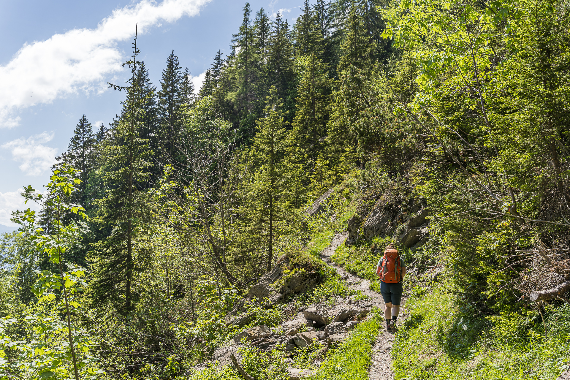 Wanderung zum Berghaus Planalp