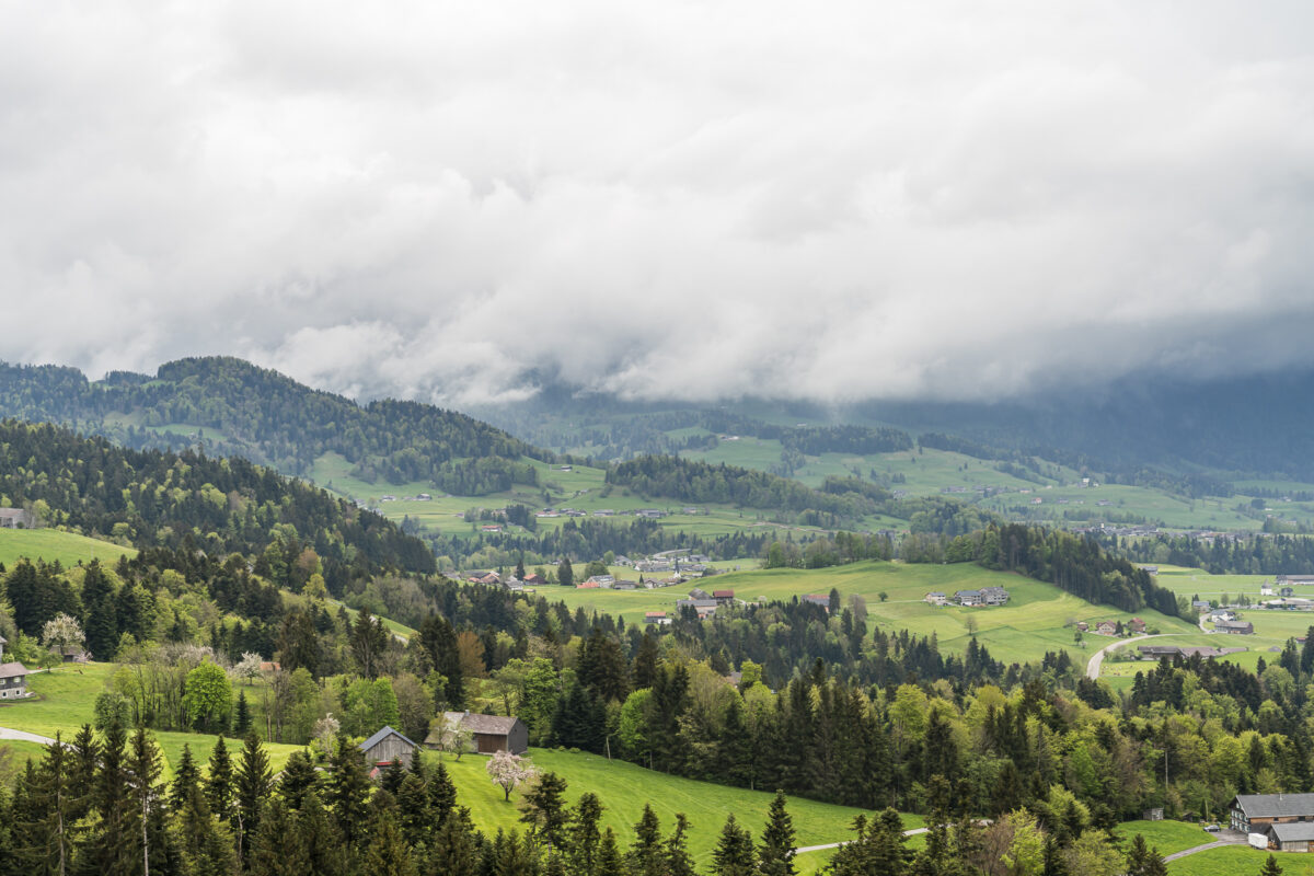 Bregenzerwald Panorama