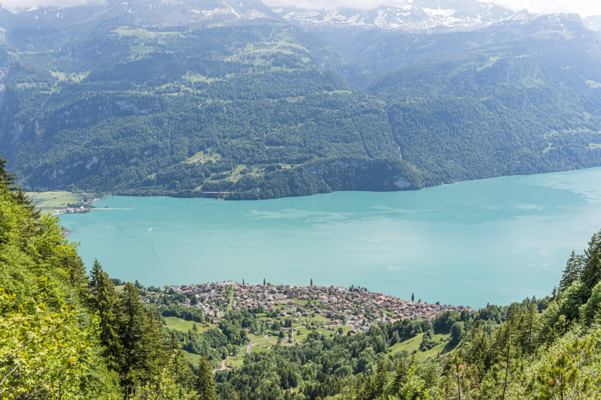 Simmeler Brienz