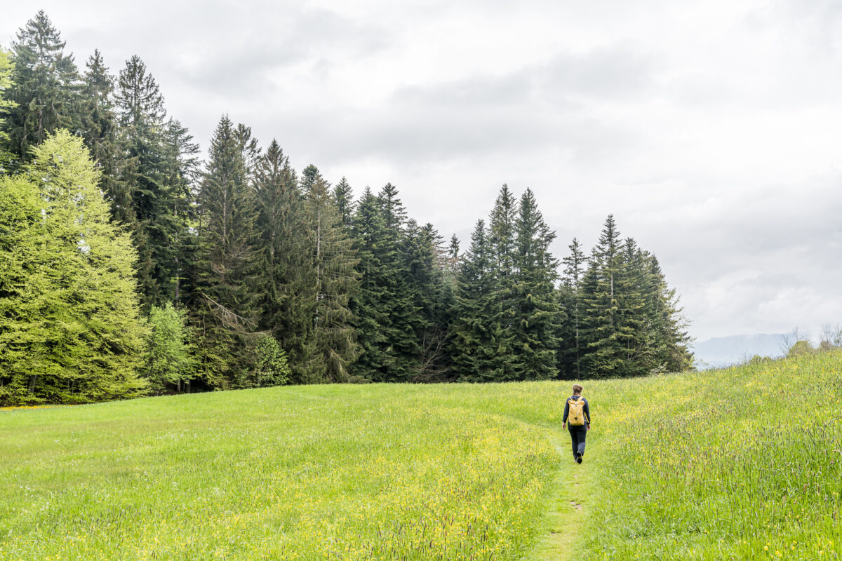 Architekturweg Bregenzerwald