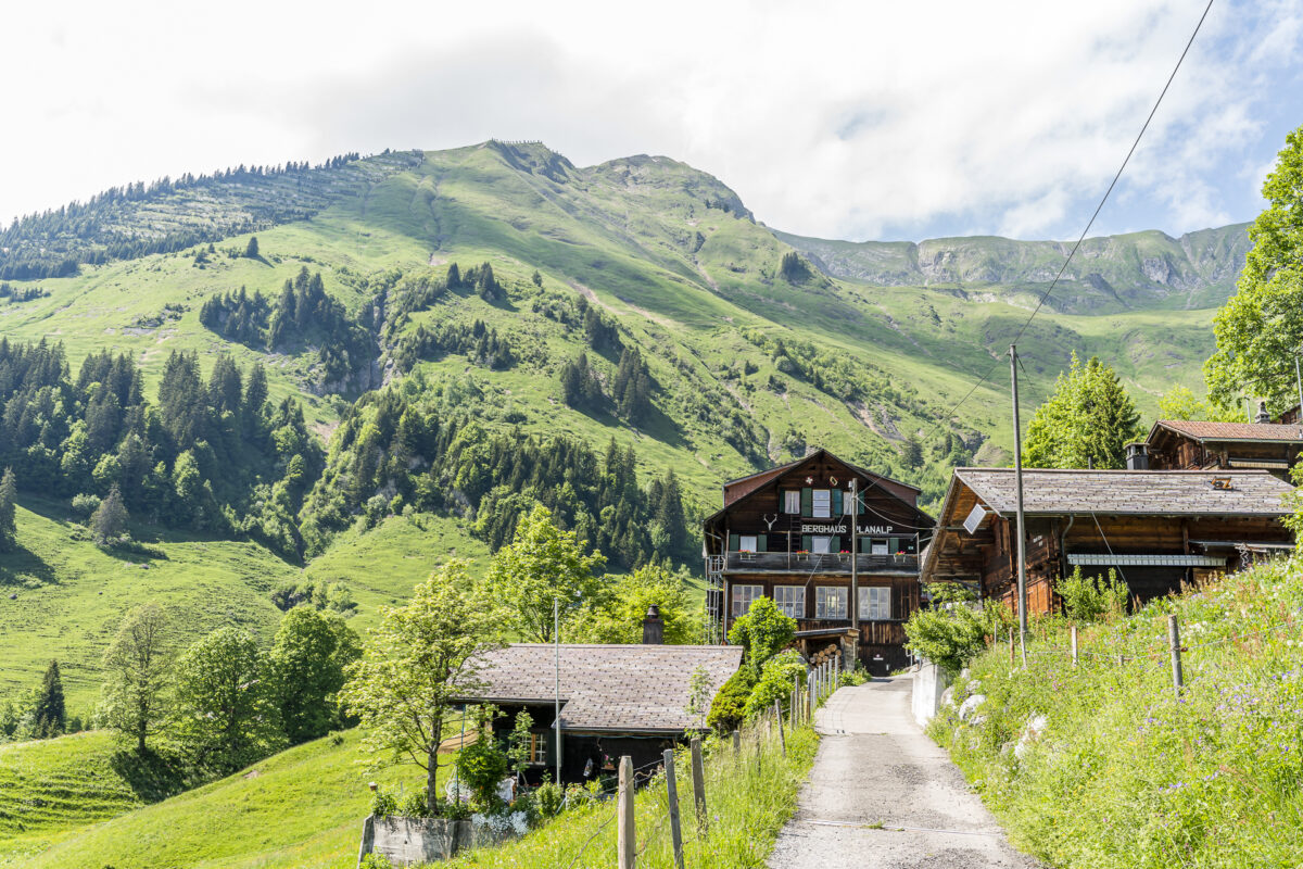 Berghaus Planalp