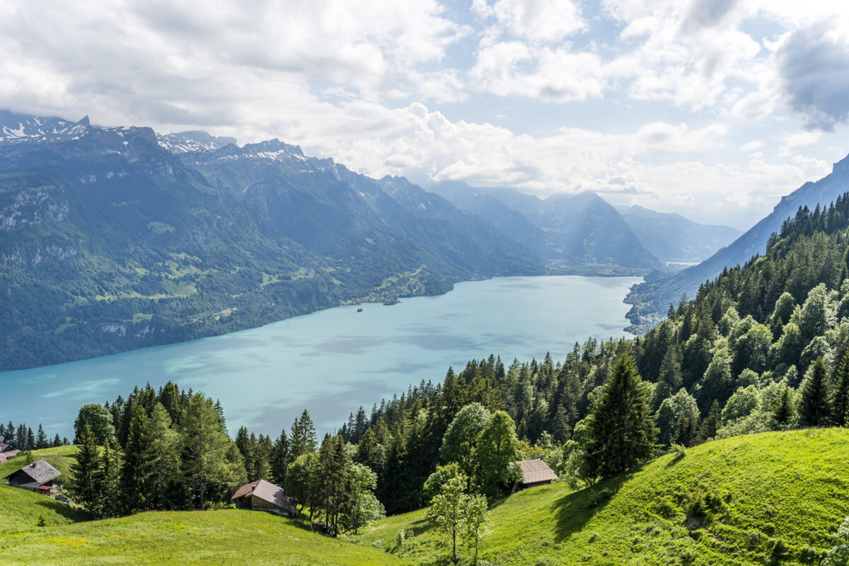 Aussicht Planalp