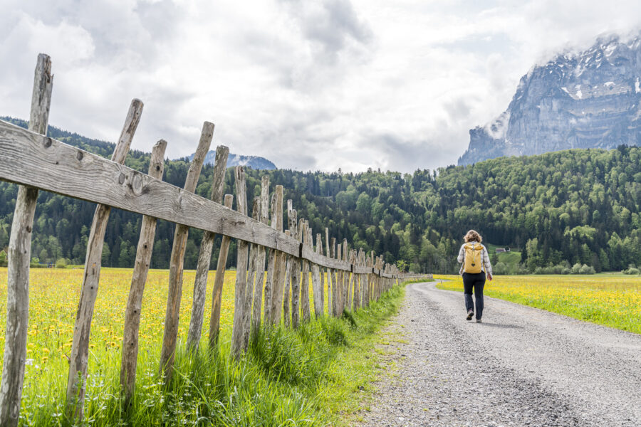 Bregenzerwald Wandern