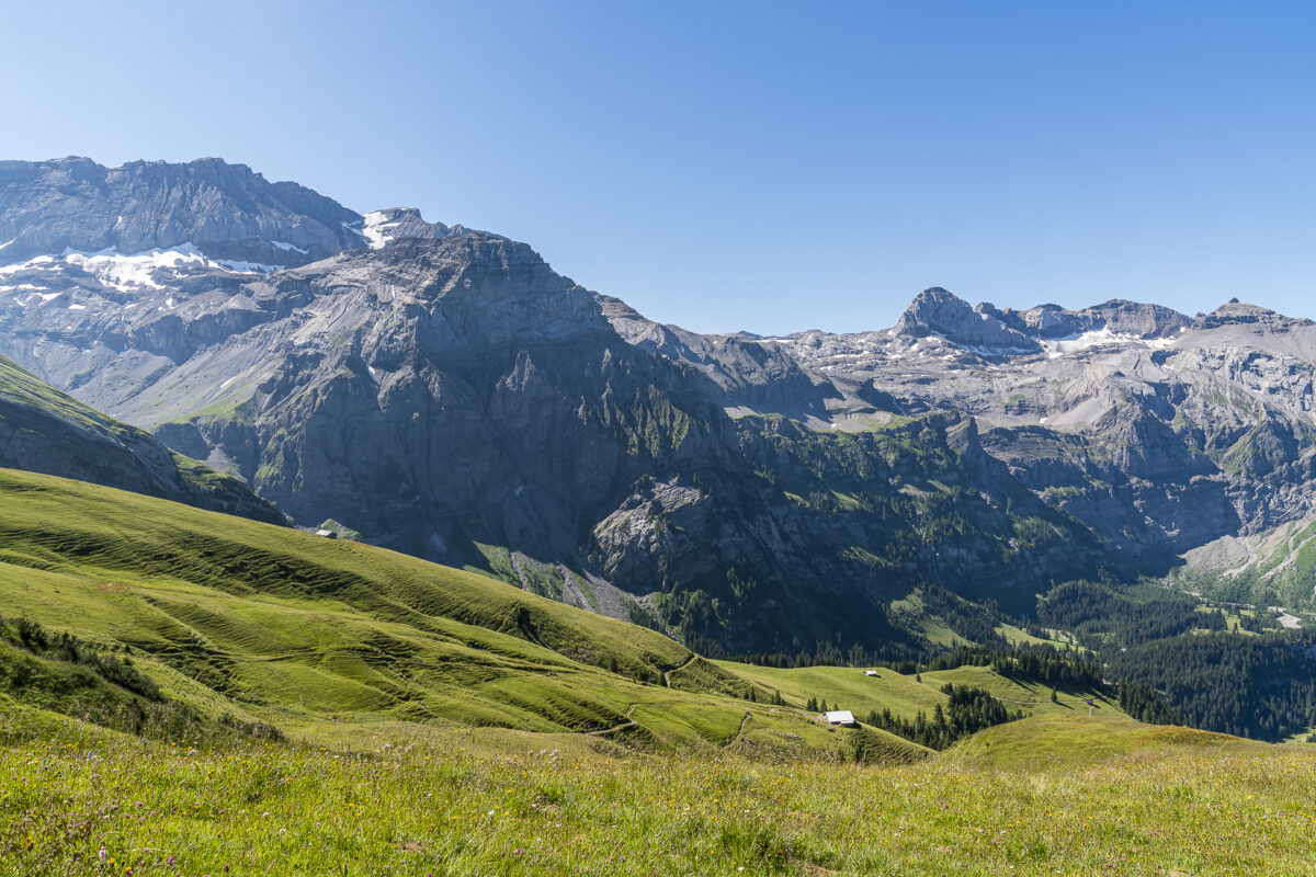 Ausblick Metschstand