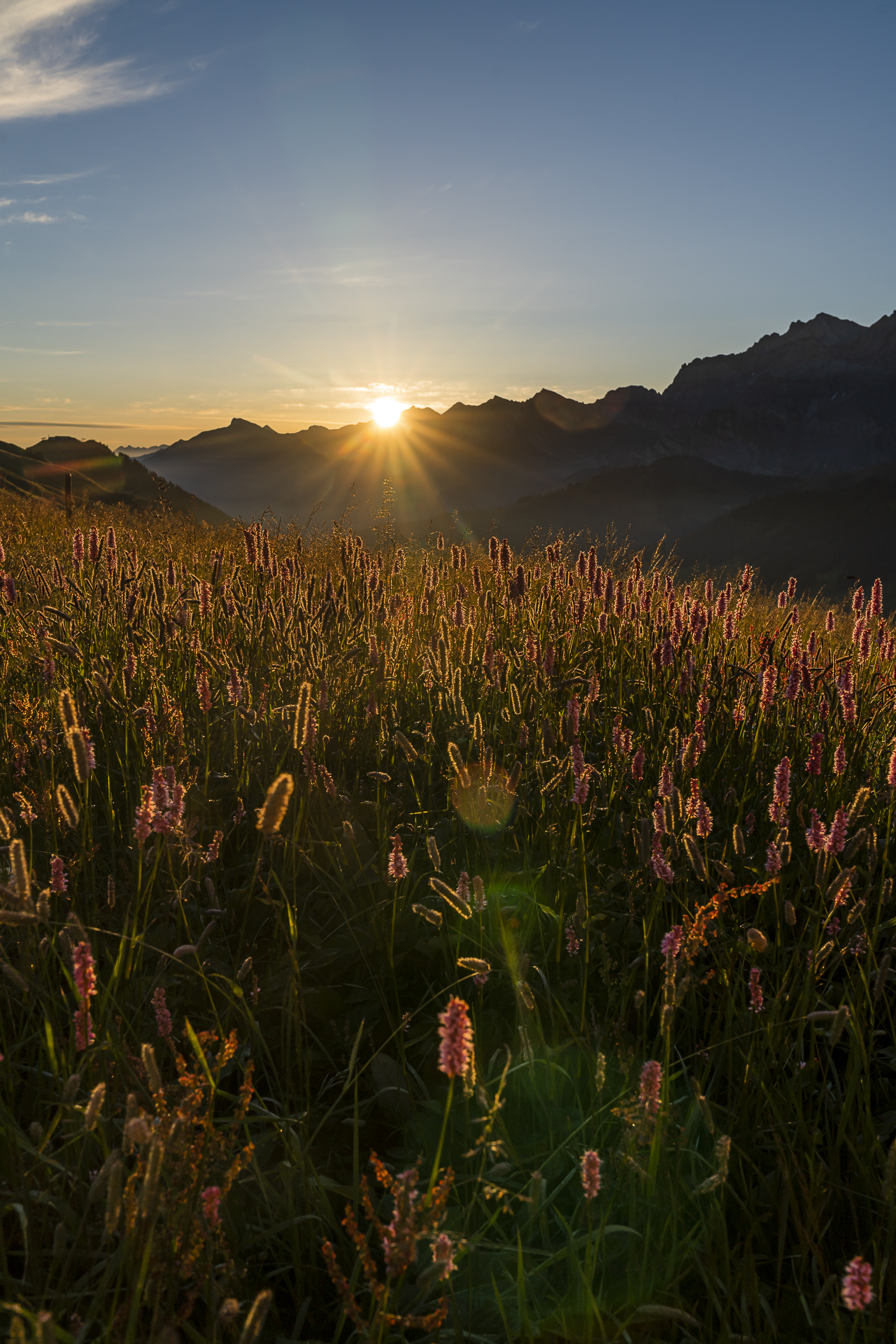 Sonnenaufgang Hahnenmoos