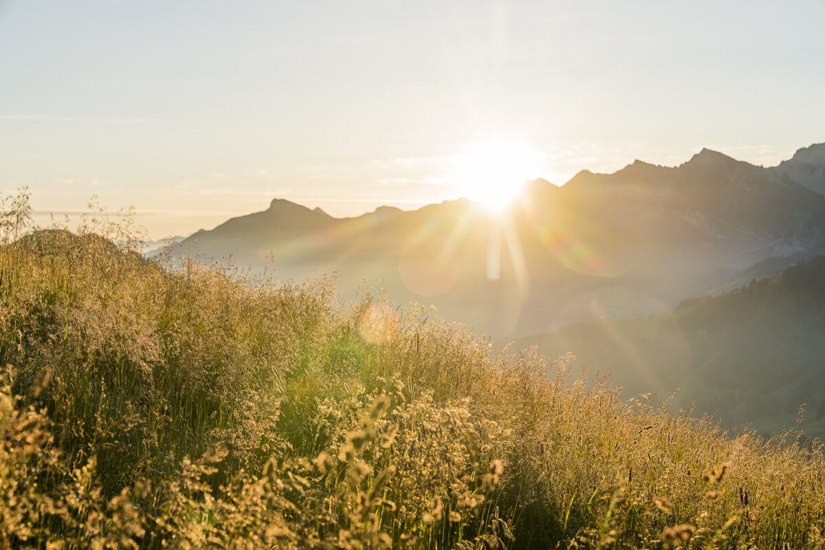 Sonnenaufgang Hahnenmoospass