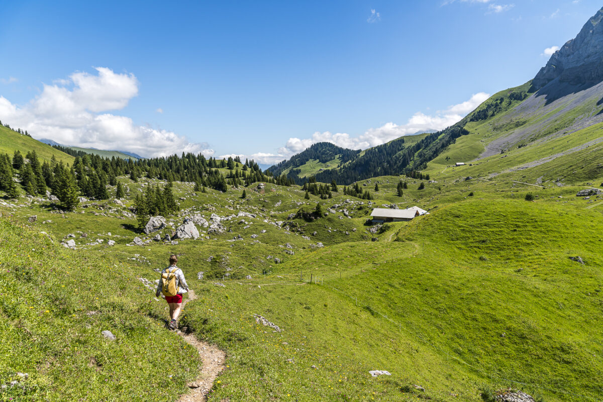 Wanderung durchs Bütschi