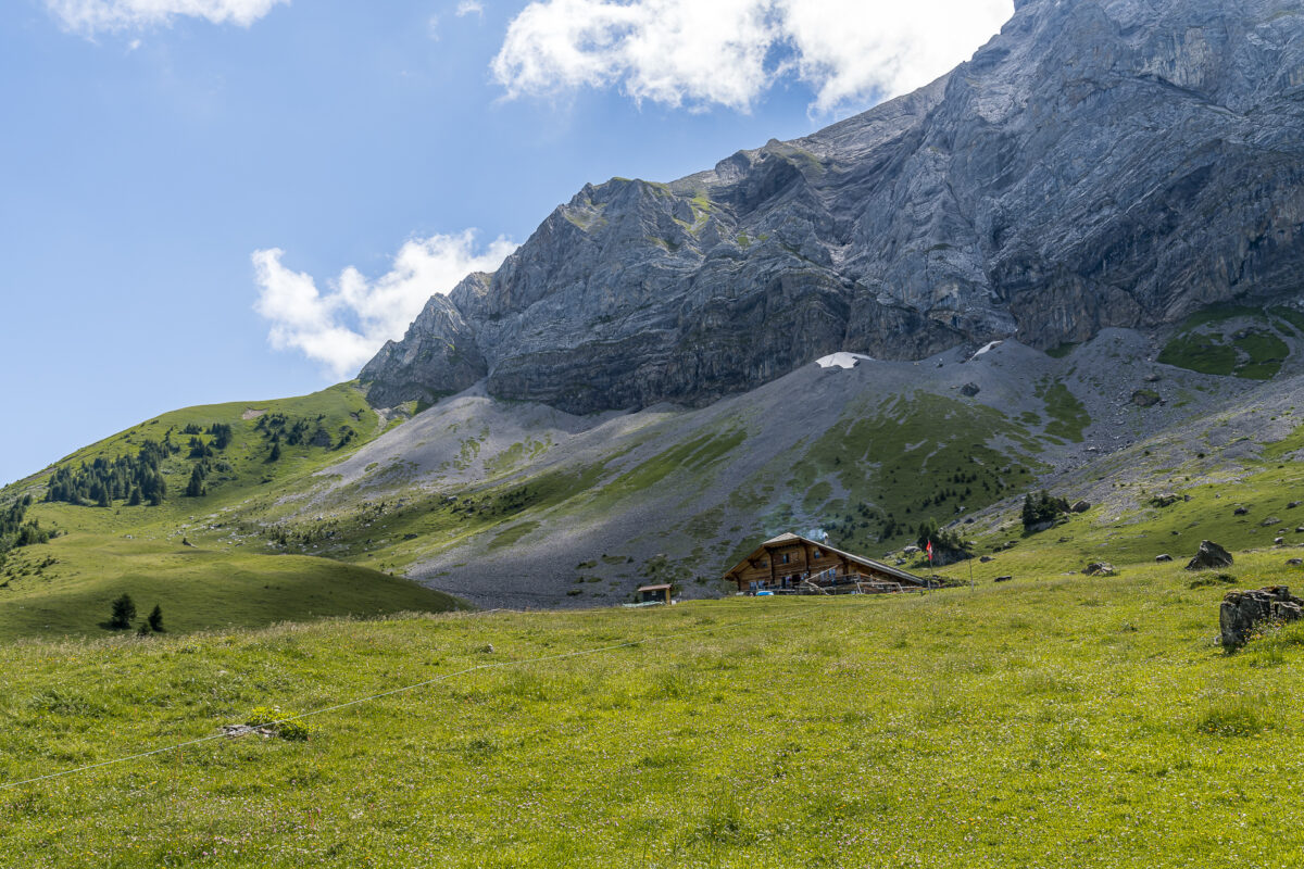 Alp Bütschi Stafel