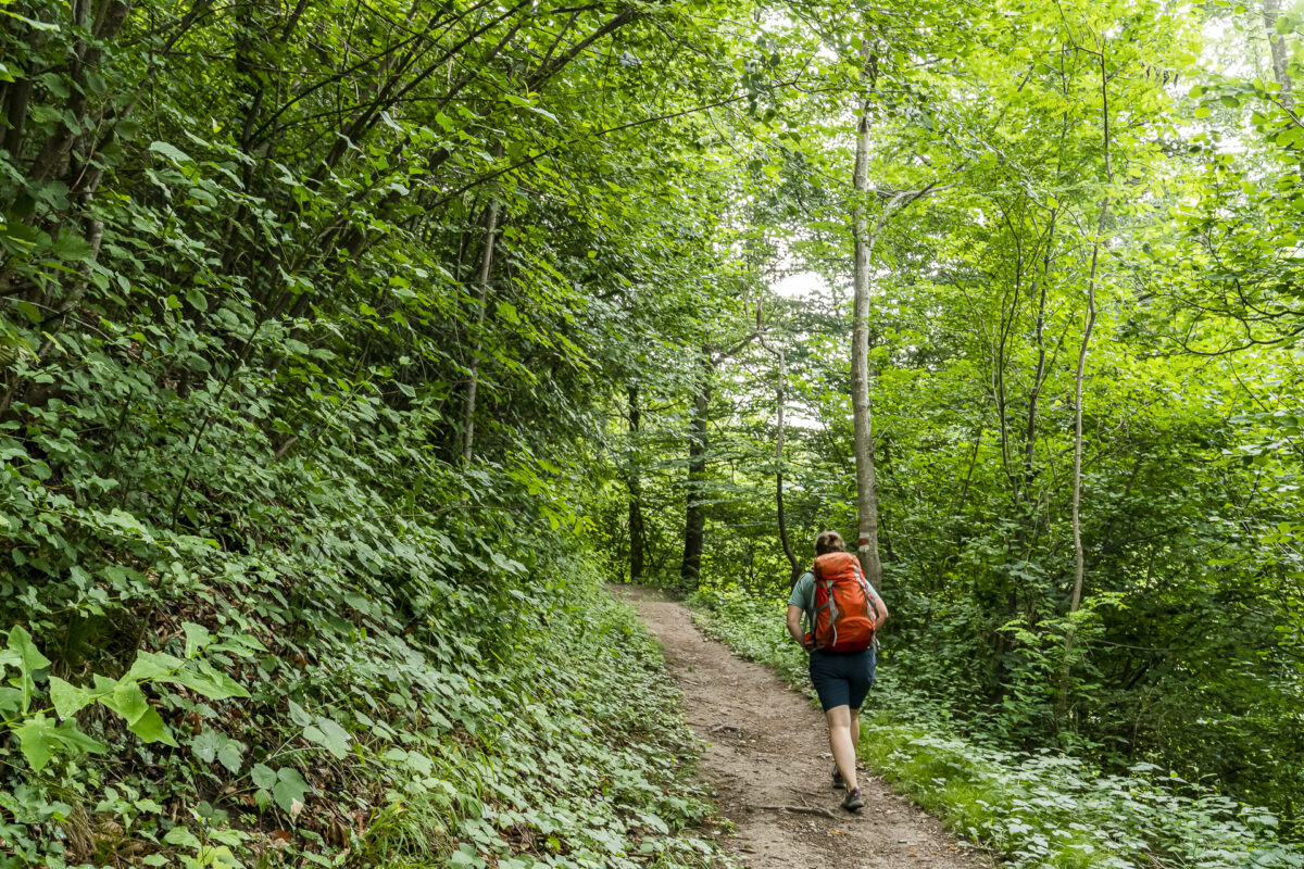 Dörferweg Schanfigg