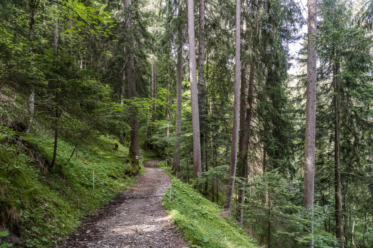 Dörferweg Schanfigg