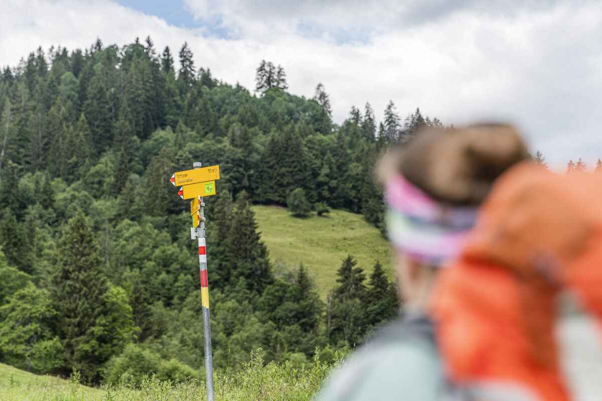 Wanderung Dörferweg