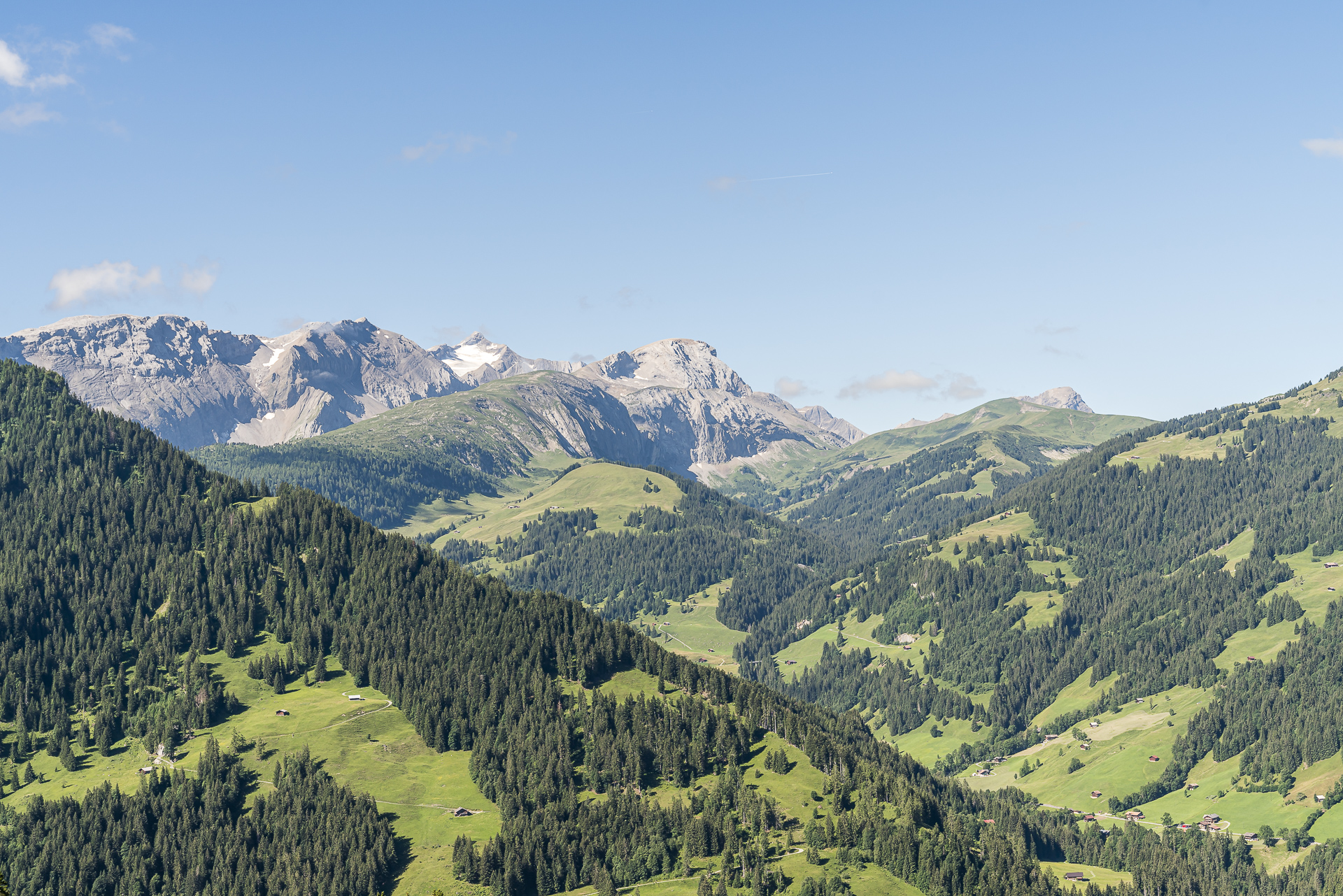 Metschstand Lenk Ausblick