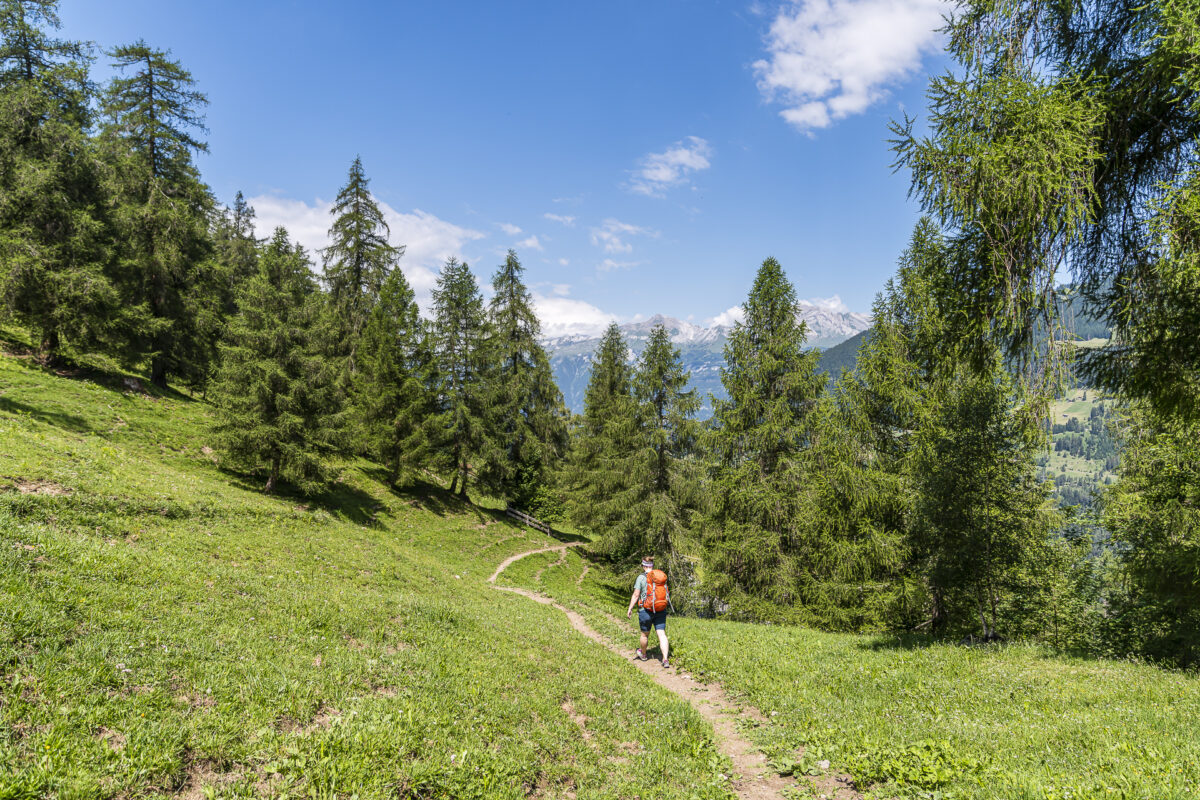 Tschiertschen nach Passugg