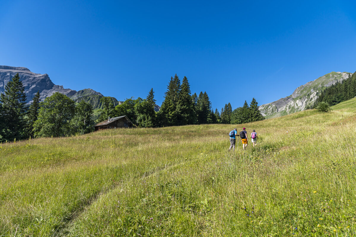 Aufstieg Saxeten Rengglipass