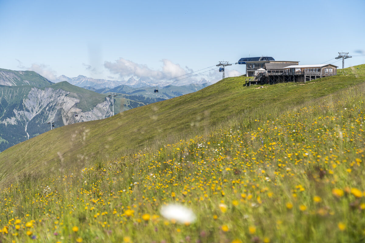 Bergstation Metschstand