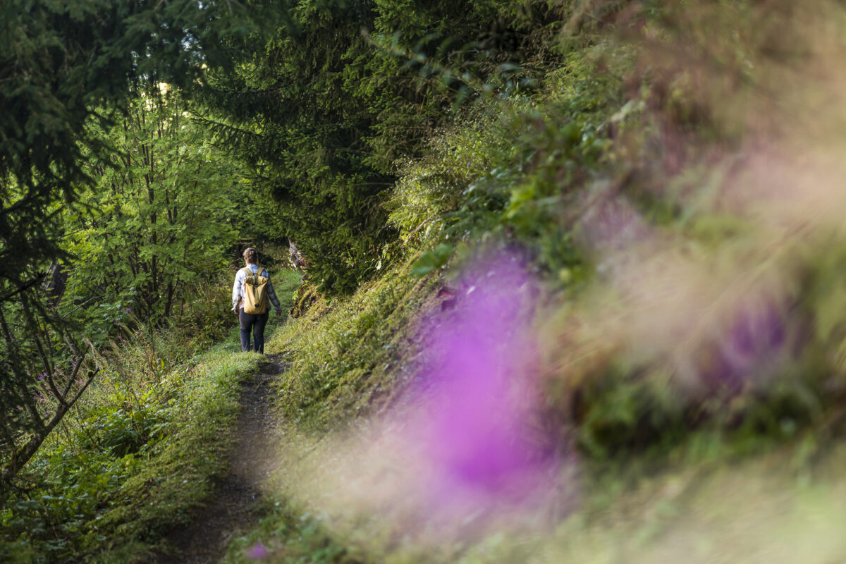 Wanderung Panoramaweg