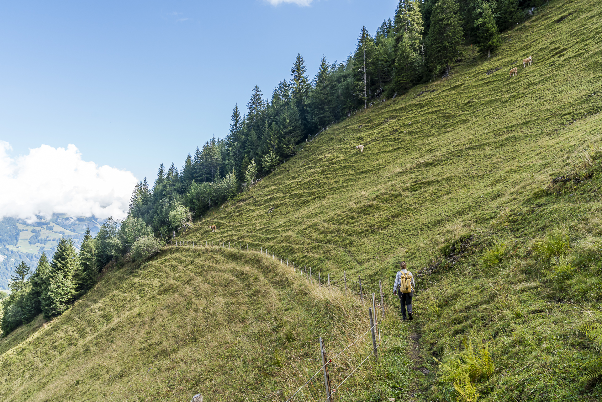 Wanderung Elsigenalp Frutigen