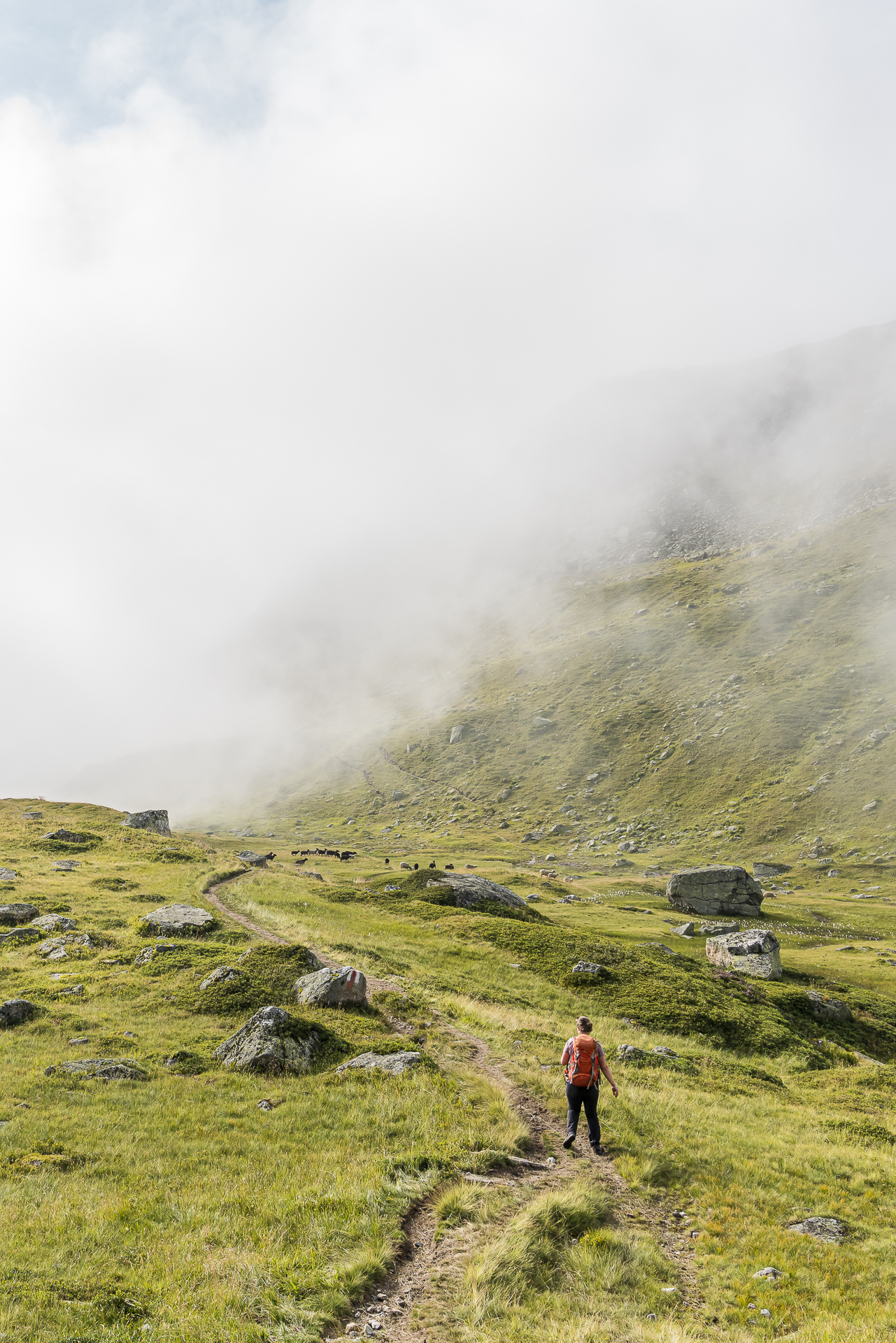 Wanderung Albert-Heim-Hütte