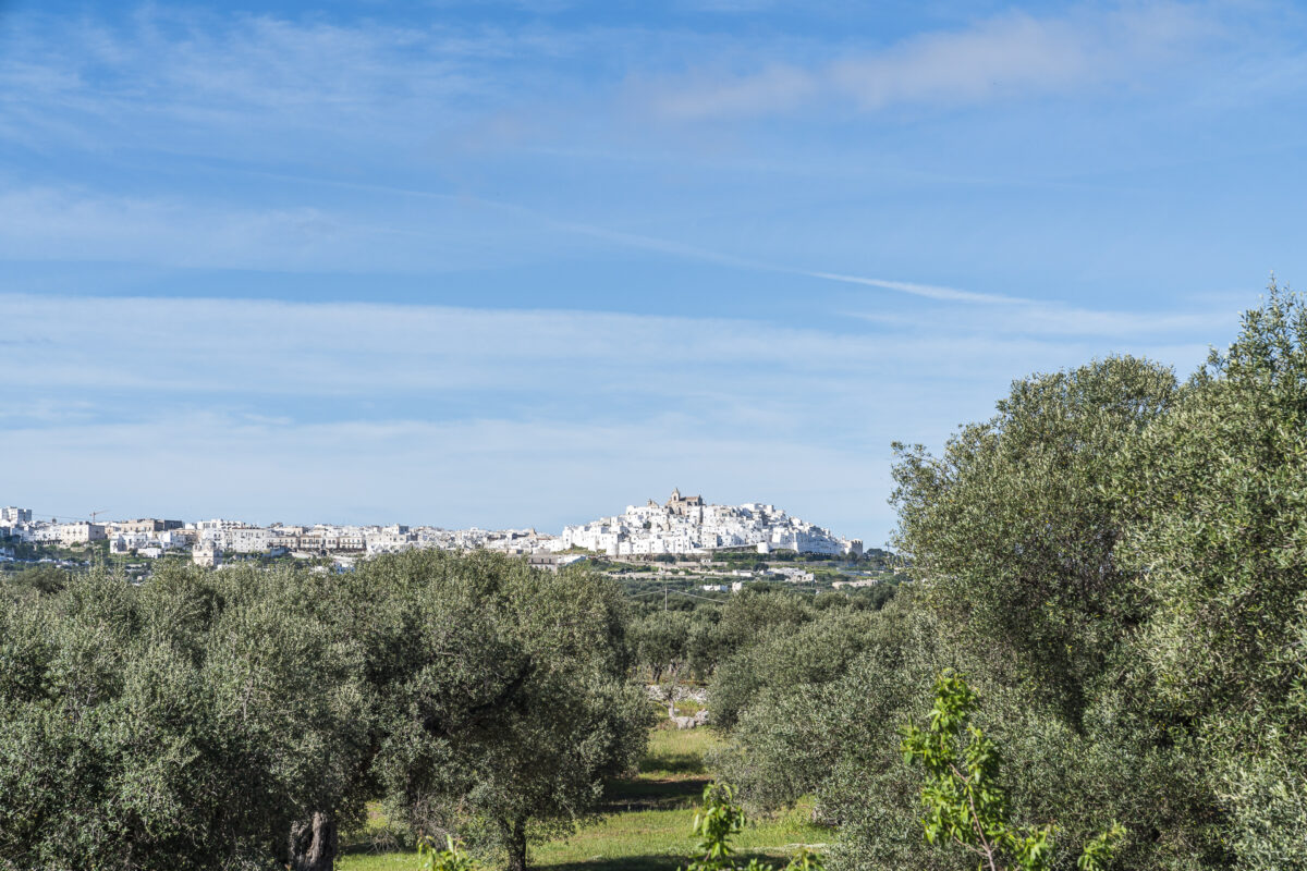 Blick auf Ostuni