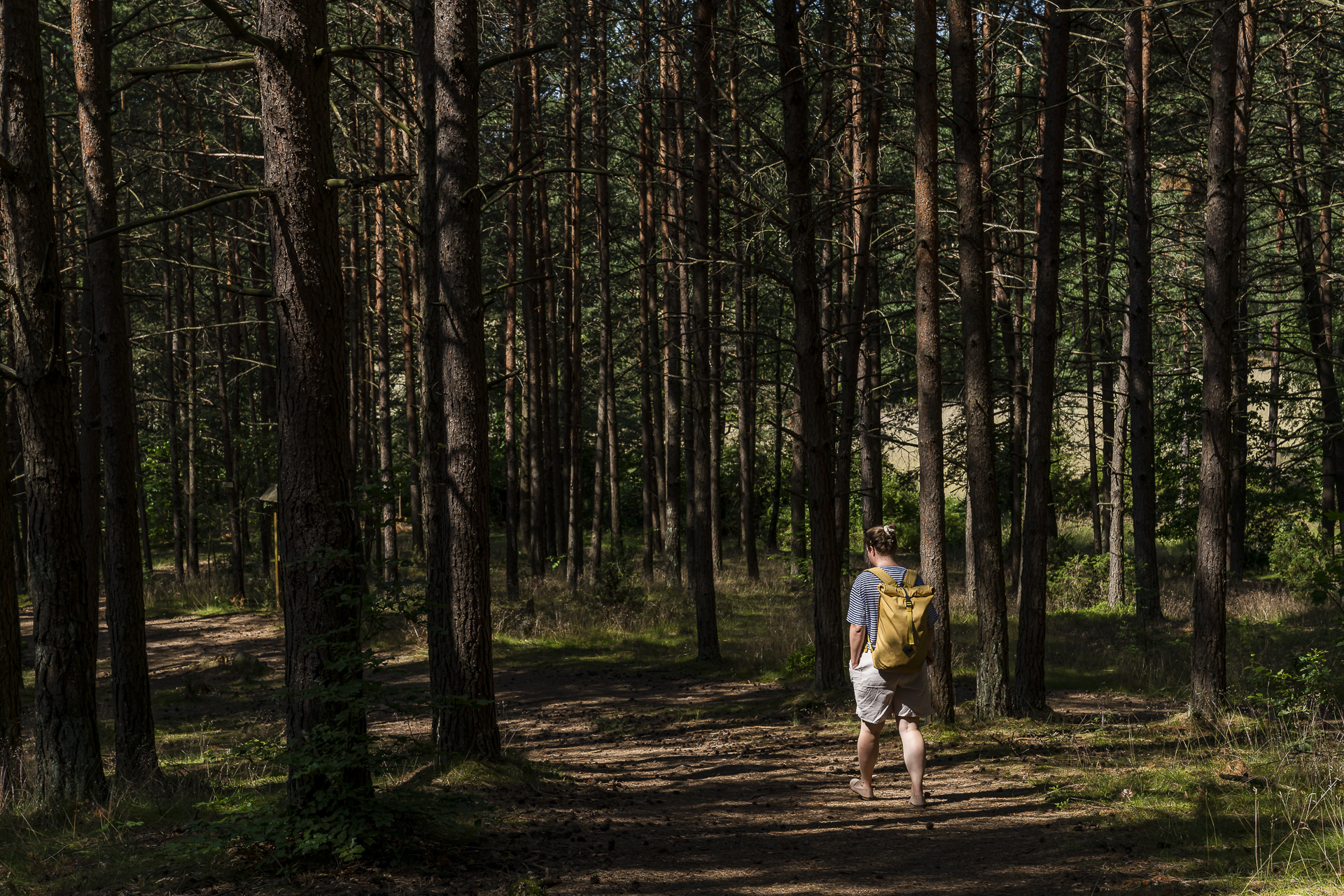 Wandern in Wesiory Polen