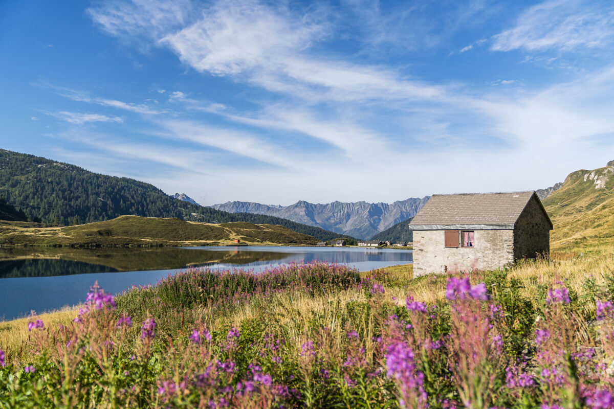 Panorama am Lago Cadagno