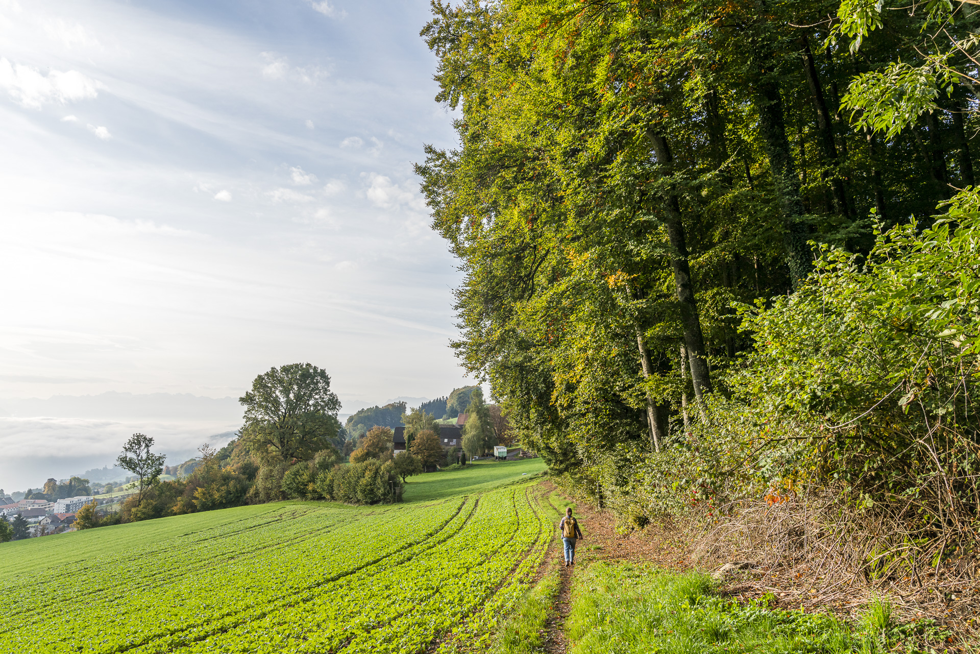 Wanderung Leutwil Häfn