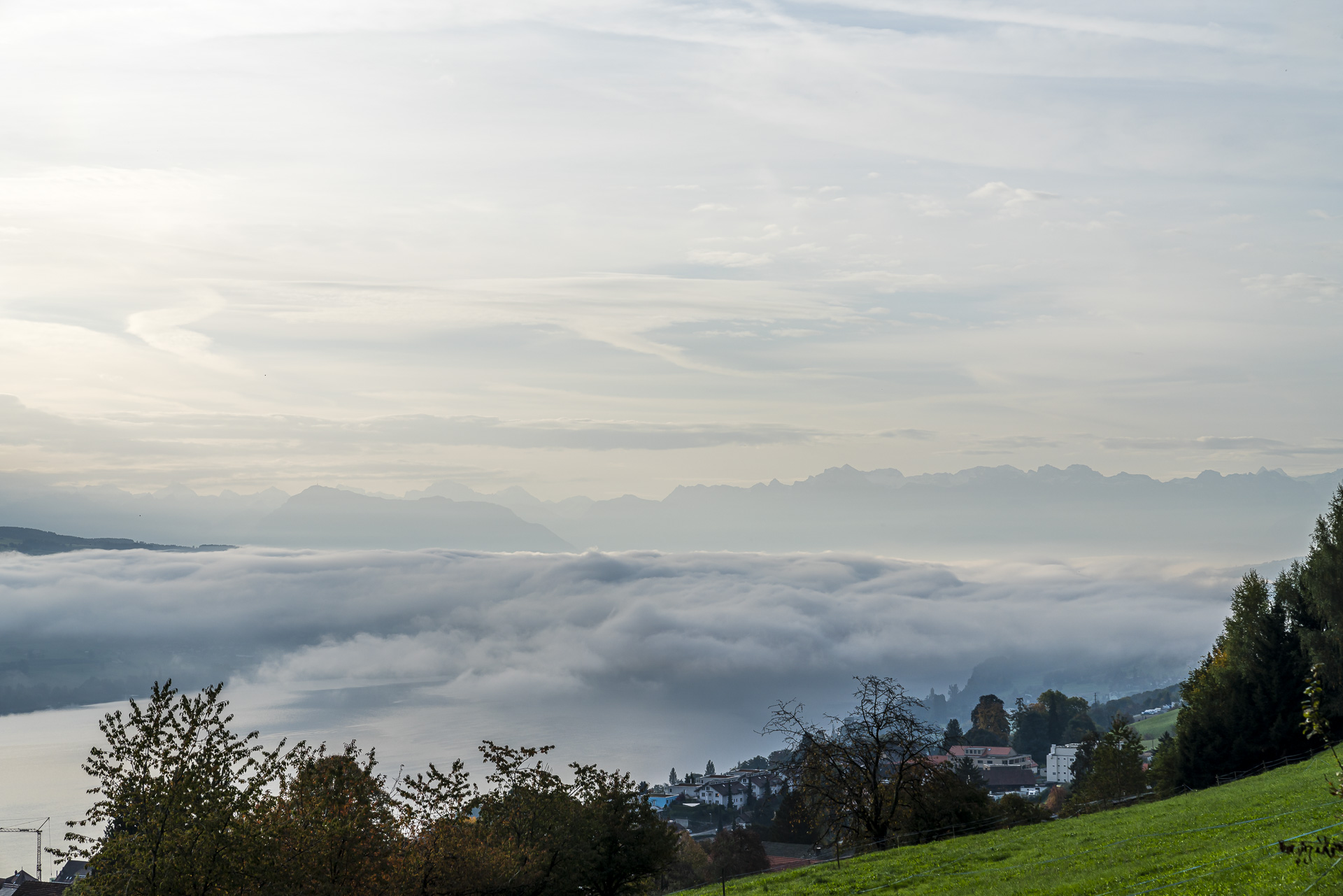 Nebelrolle am Hallwilersee