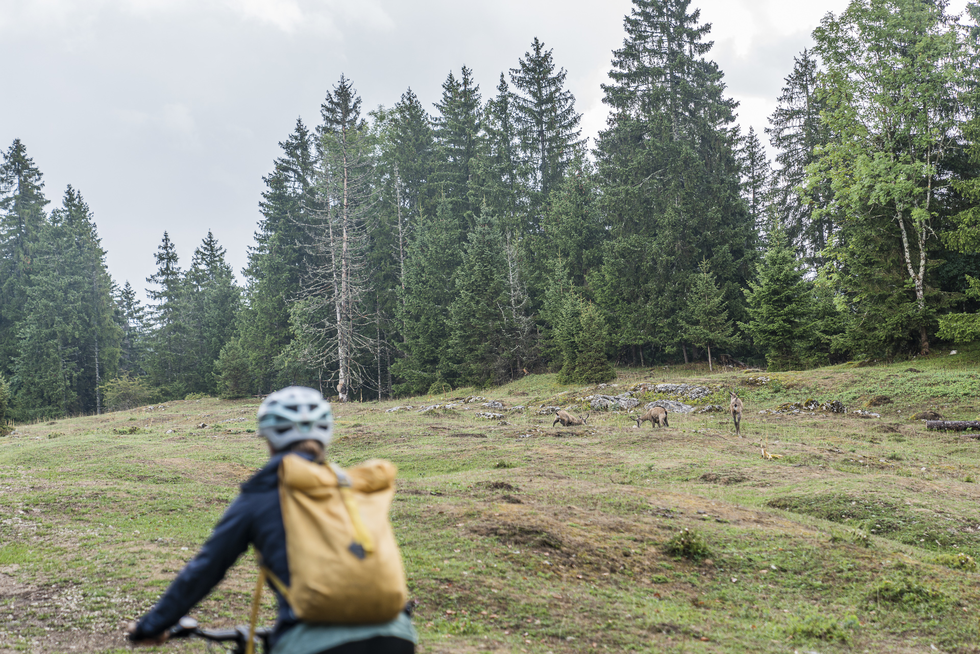 Velotour im Jura