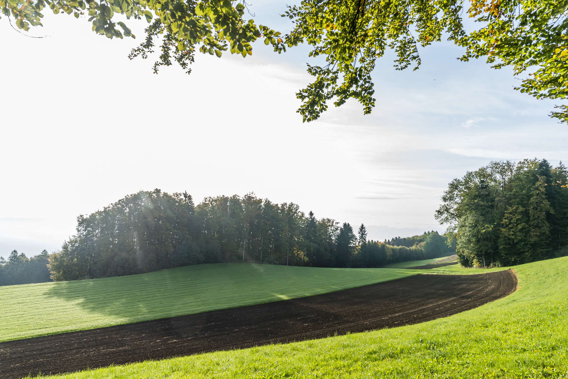 Felder im Herbst