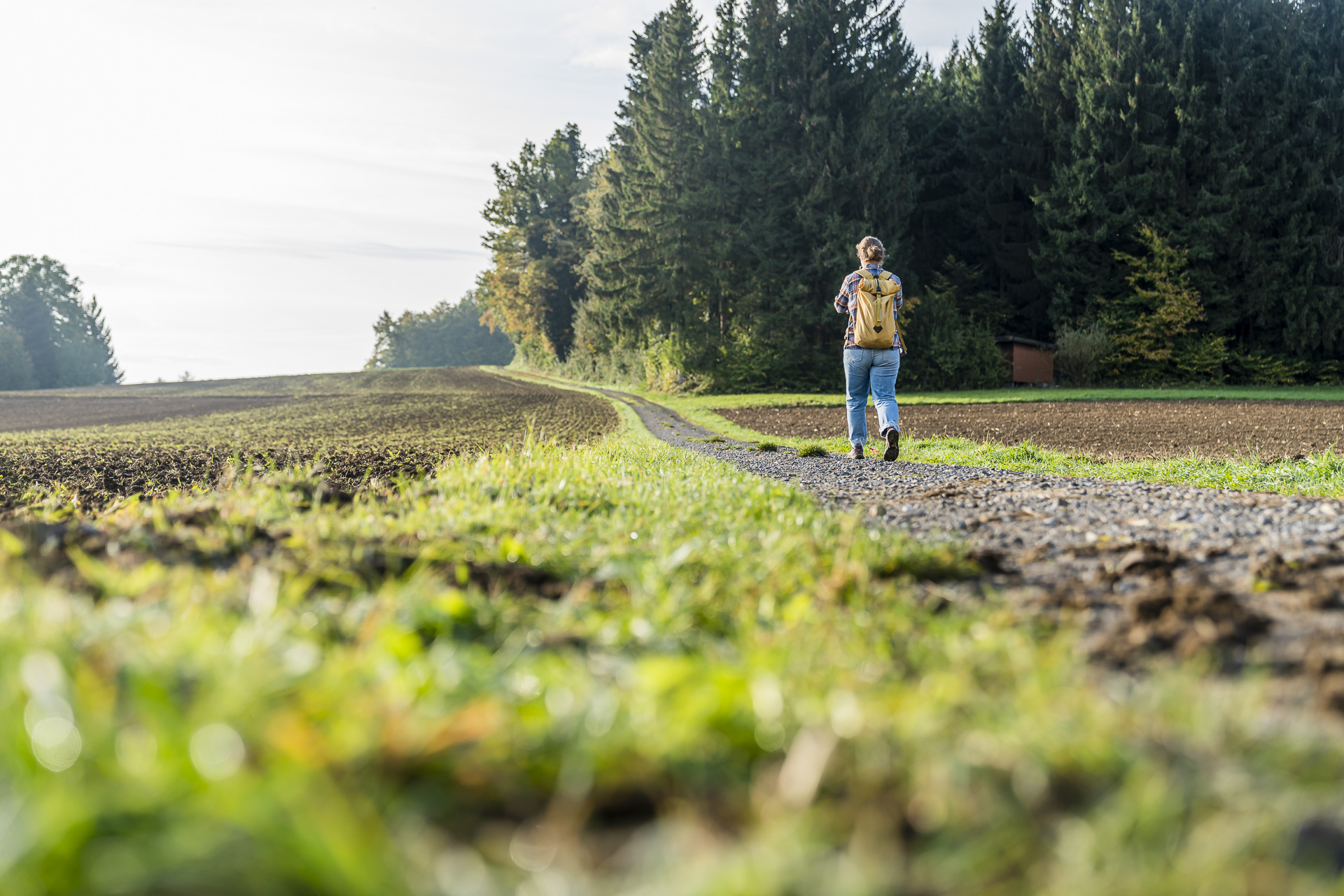 Homberg Wanderwege