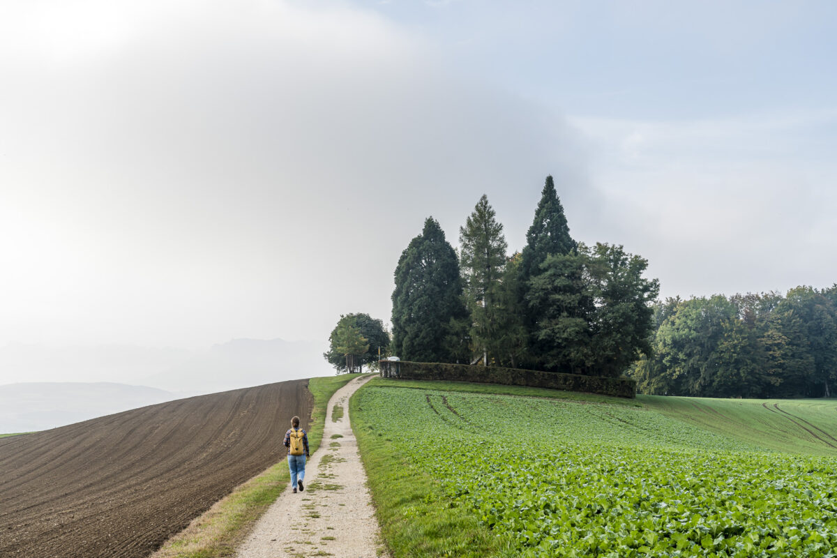 Wanderung zum Homberg