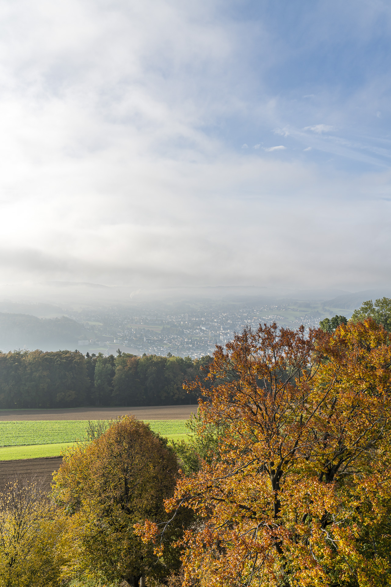 Aussicht Homberg Hochwacht