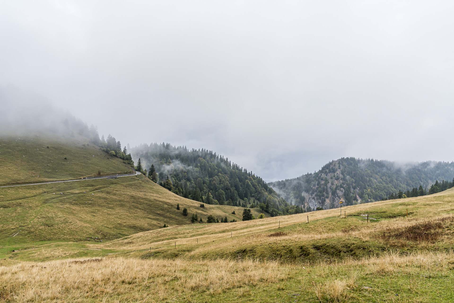 Juralandschaft bei Nebel