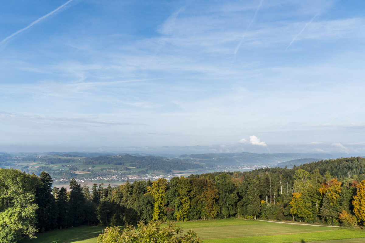 Aussicht vom Homberg