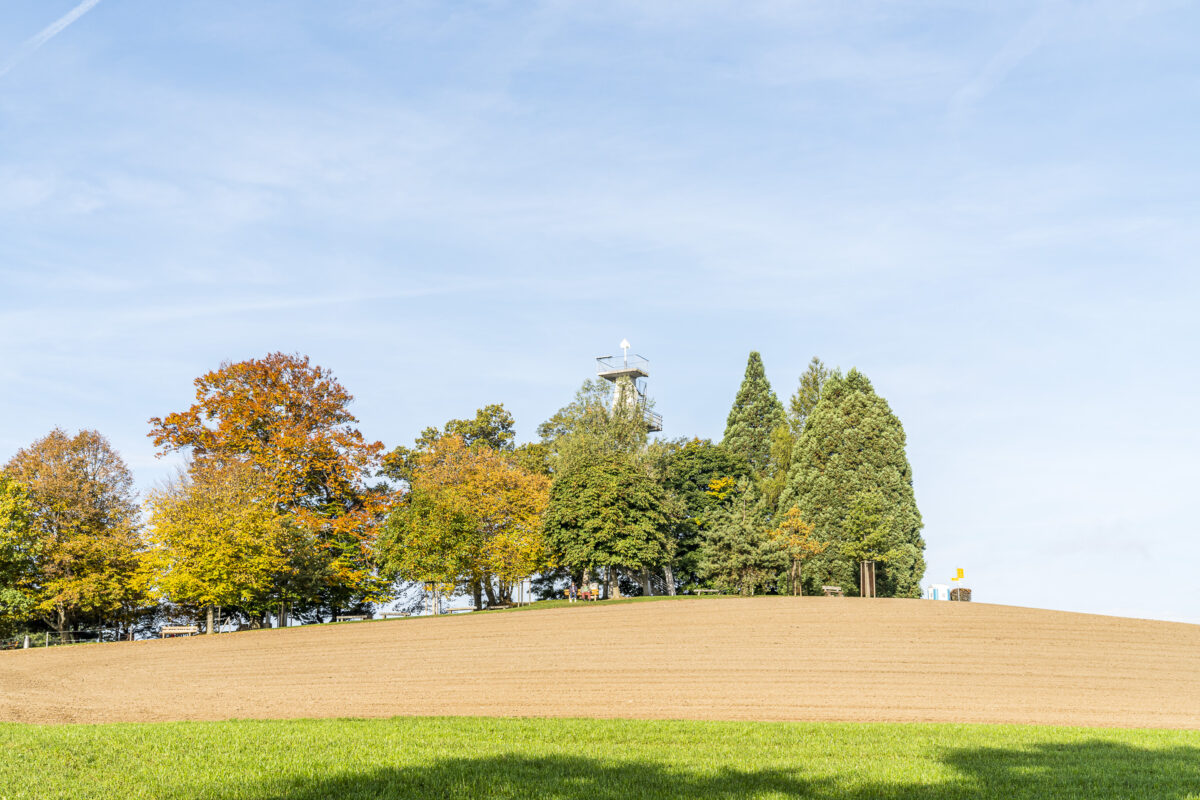 Homberg Hochwacht Aussichtsturm