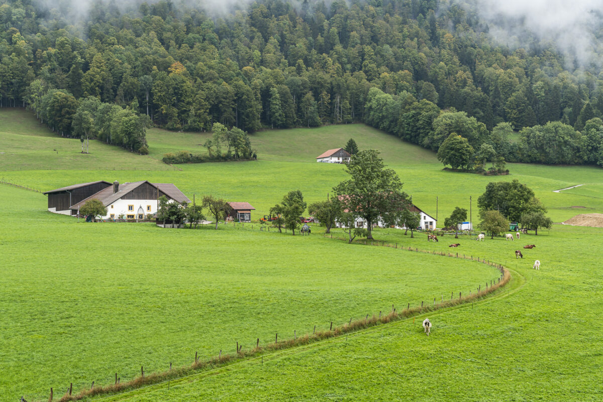 Le Pâquier Neuenburg