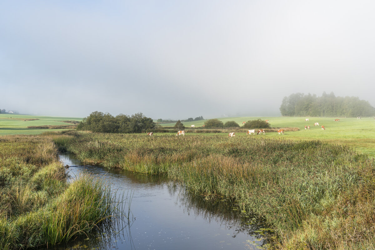 Vallée de Joux Landschaft