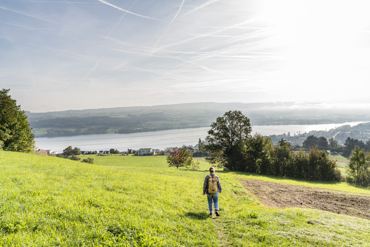 Wanderung vom Homberg nach Beinwil