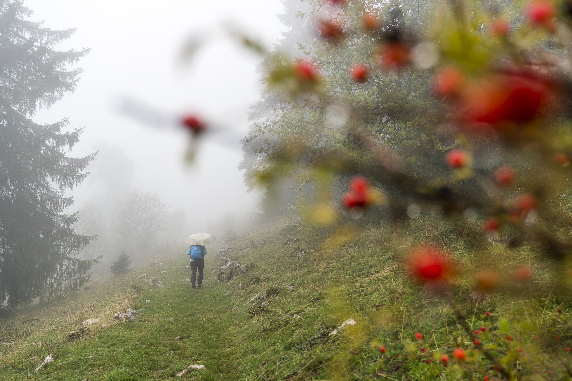 Wandern im Nebel