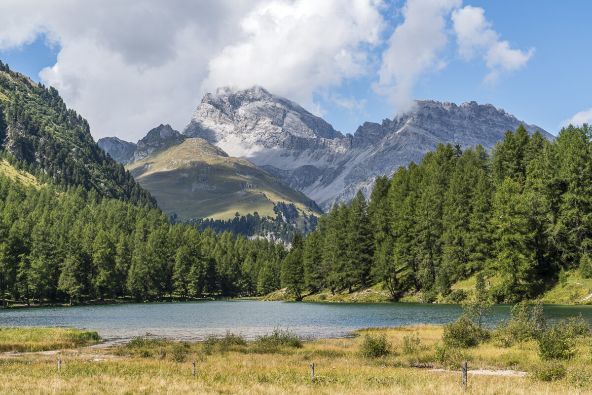 Lai da Palpuogna Panorama