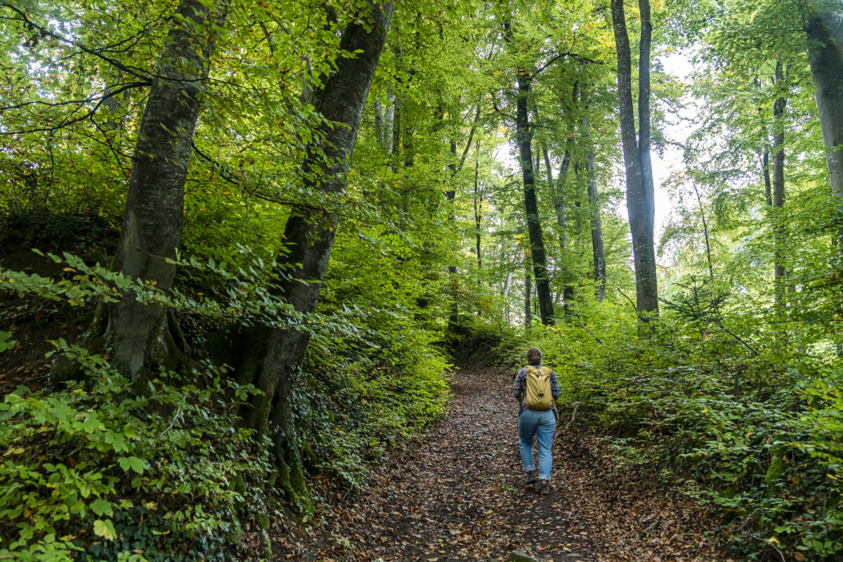 Aufstieg Boniswil nach Leutwil