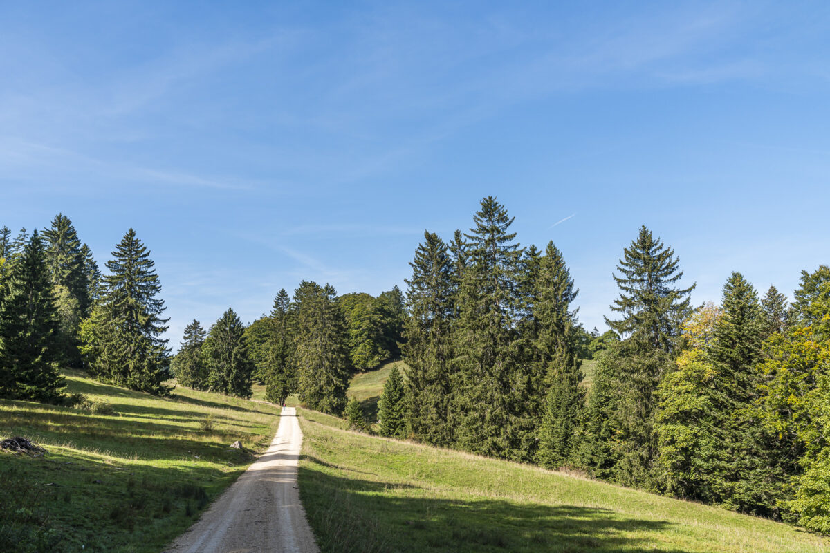 Etappe Frinvillier Chasseral